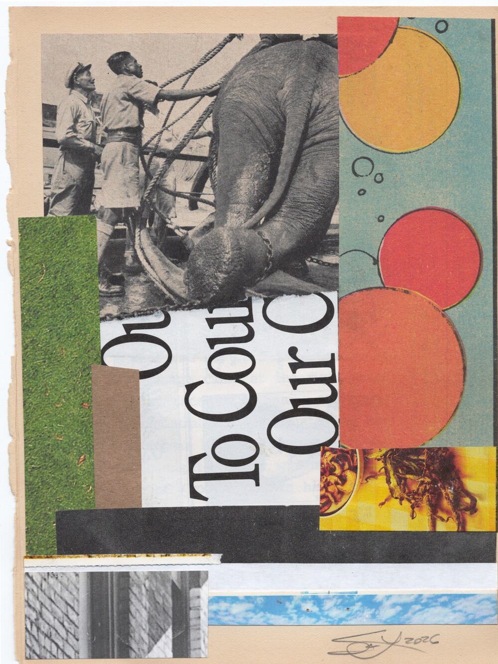 Original Mixed Media Modern Art Collage "Paxillose" 5.75x7.5" Signed